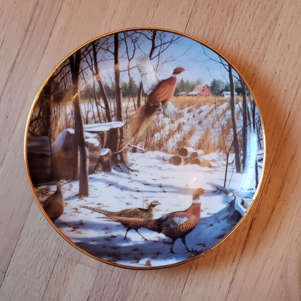 "A Winter Rainbow" by David Maass Collectors Plate, Porcelain with Gold Trim